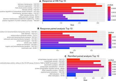 Longitudinal early epigenomic signatures inform molecular paths of therapy response and remission in depressed patients